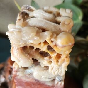 Chinese Intricately Carved Stone Dragon Chop Stamp  "Linda"
